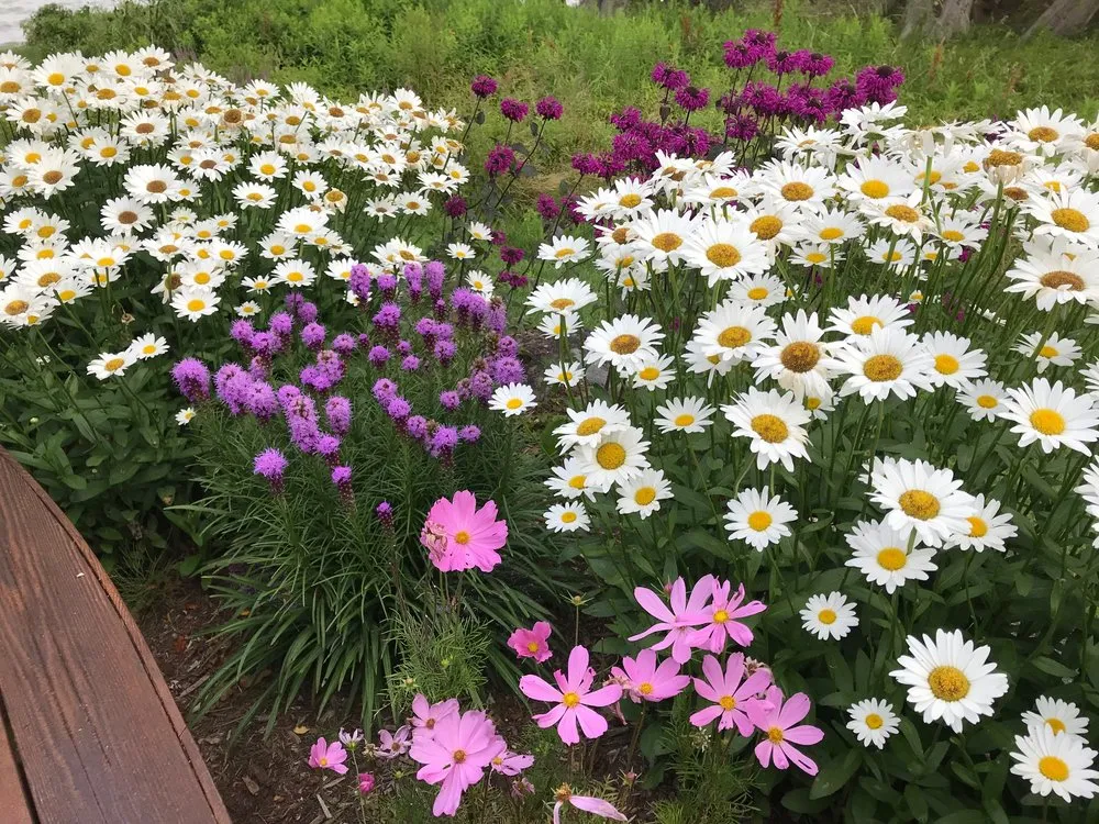 Affordable lawn care service experts serving Indian River, MI - Mullett Lake Landscaping & Tree Service