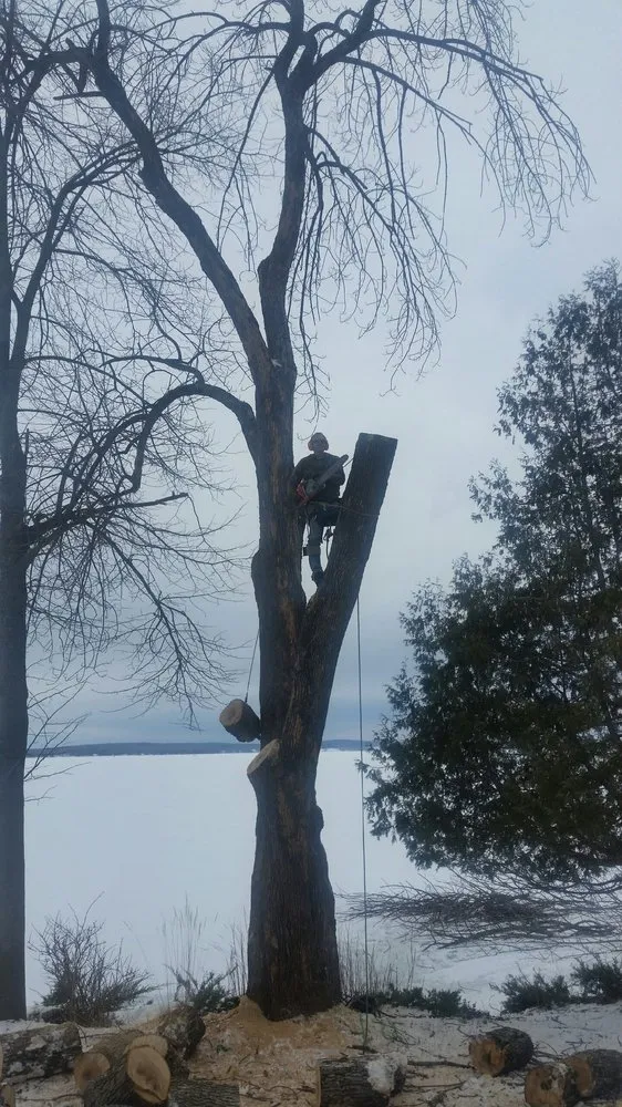 Custom lawn care service in Indian River, MI - Mullett Lake Landscaping & Tree Service