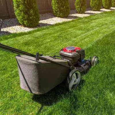 Trusted yard cleanup service in Stillwater, OK by Mullin Lawn Care