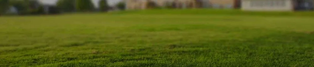 Expert landscaping services experts serving Stillwater, OK - Mullin Lawn Care