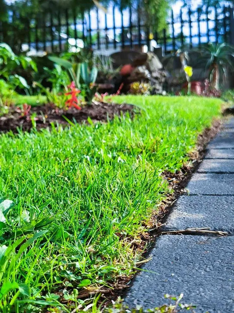 Top-rated yard cleanup service in Stillwater, OK - Mullin Lawn Care