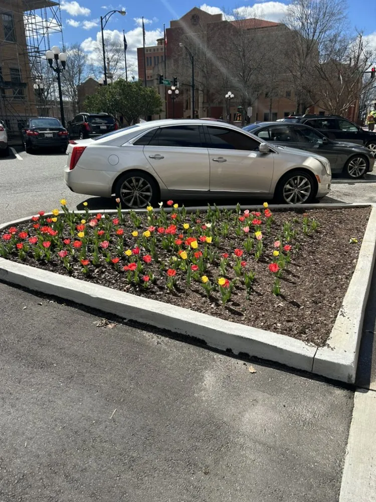 Professional lawn care service for homes across Anderson, SC - Mullinax Mowing