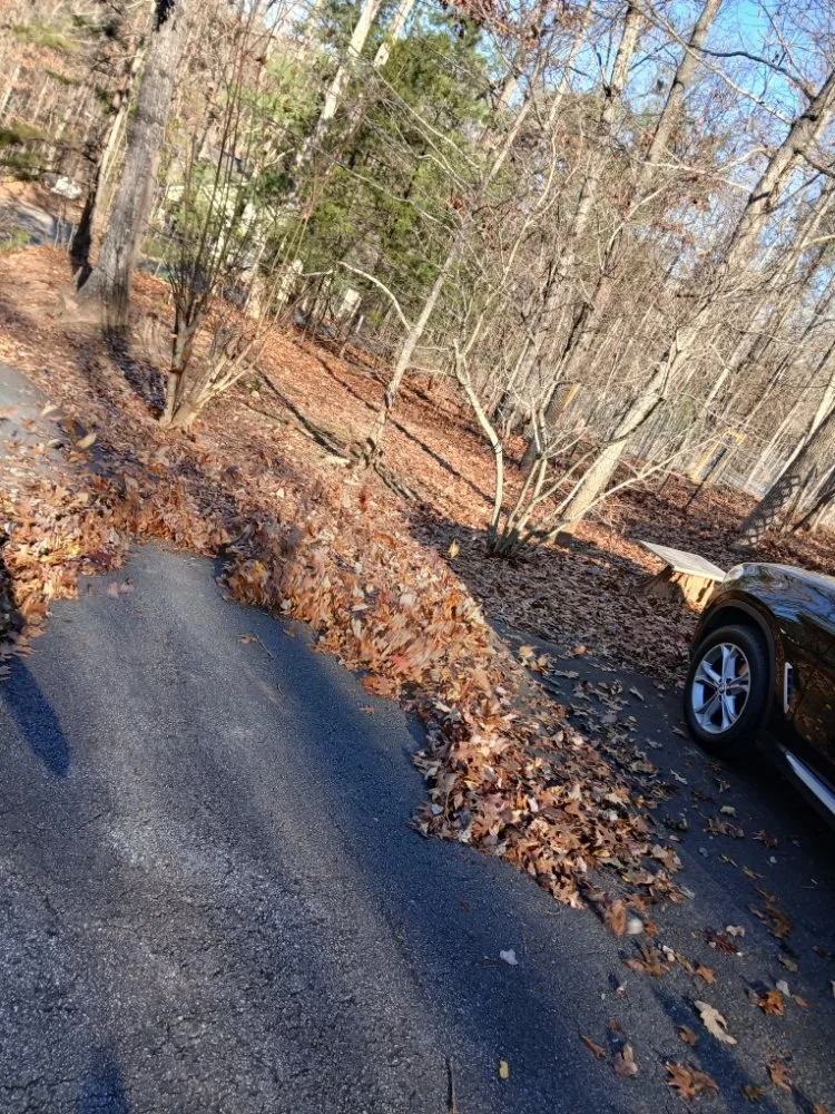 Expert lawn care service in Cleveland, GA by Mullinax Tree Services & Landscaping