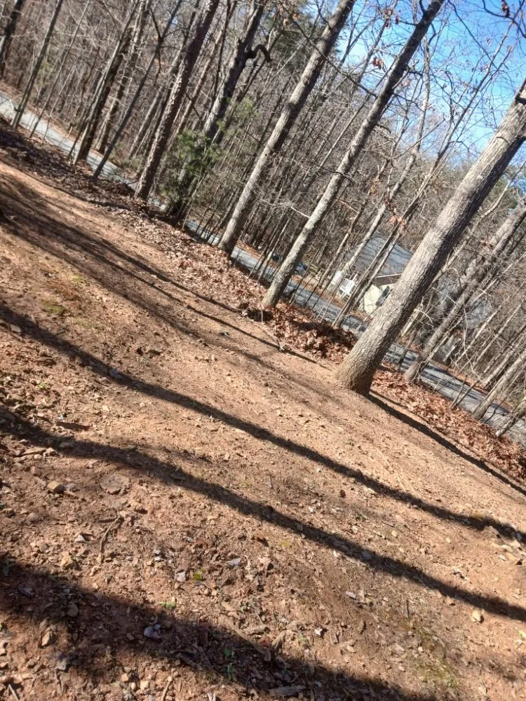 Local garden landscaping experts serving Cleveland, GA - Mullinax Tree Services & Landscaping