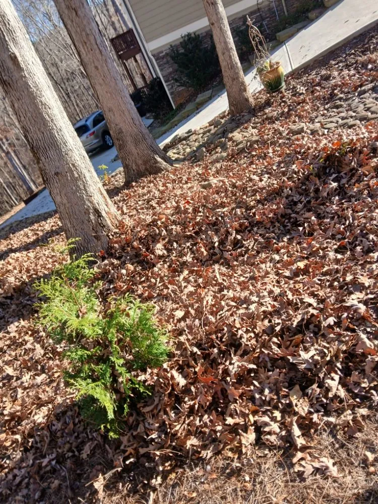 Affordable landscape installation in Cleveland, GA - Mullinax Tree Services & Landscaping