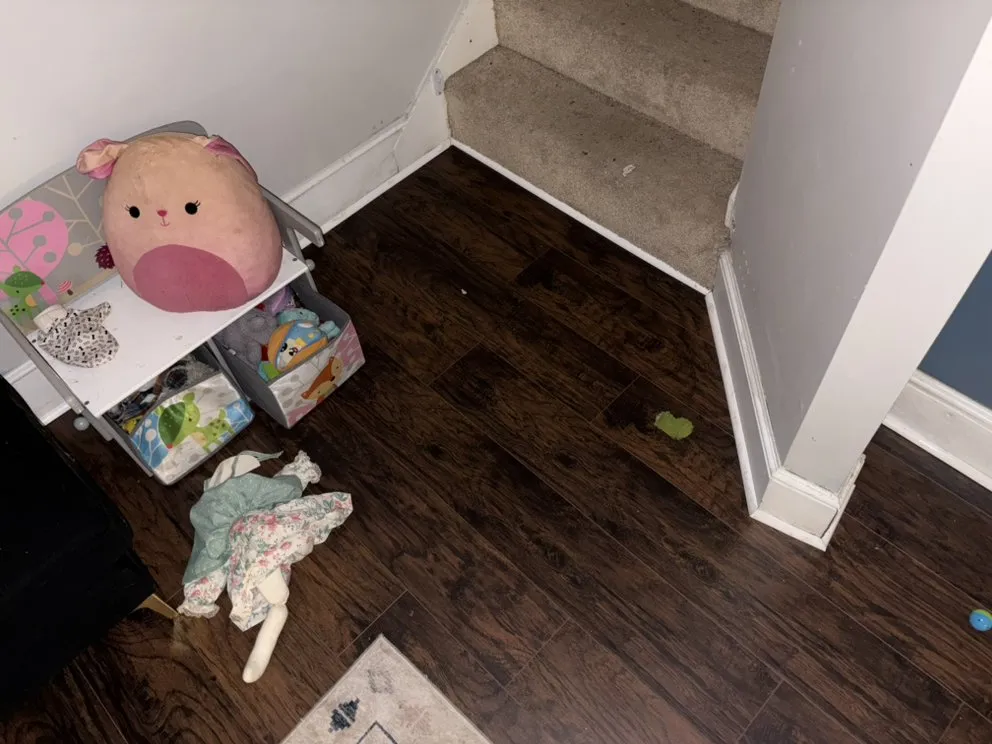 Expert yard maintenance for outdoor upgrades in Charleston, SC by Mullins Elite Construction