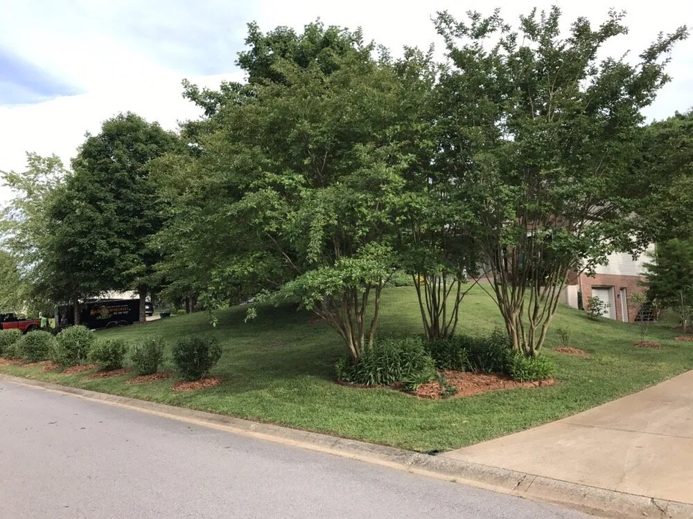 Affordable landscaping services experts serving Cumberland City, TN - Mullins Lawn Equipment