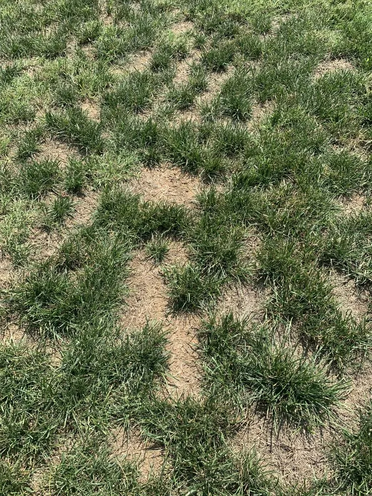 Professional lawn mowing service in Cumberland City, TN by Mullins Lawn Equipment