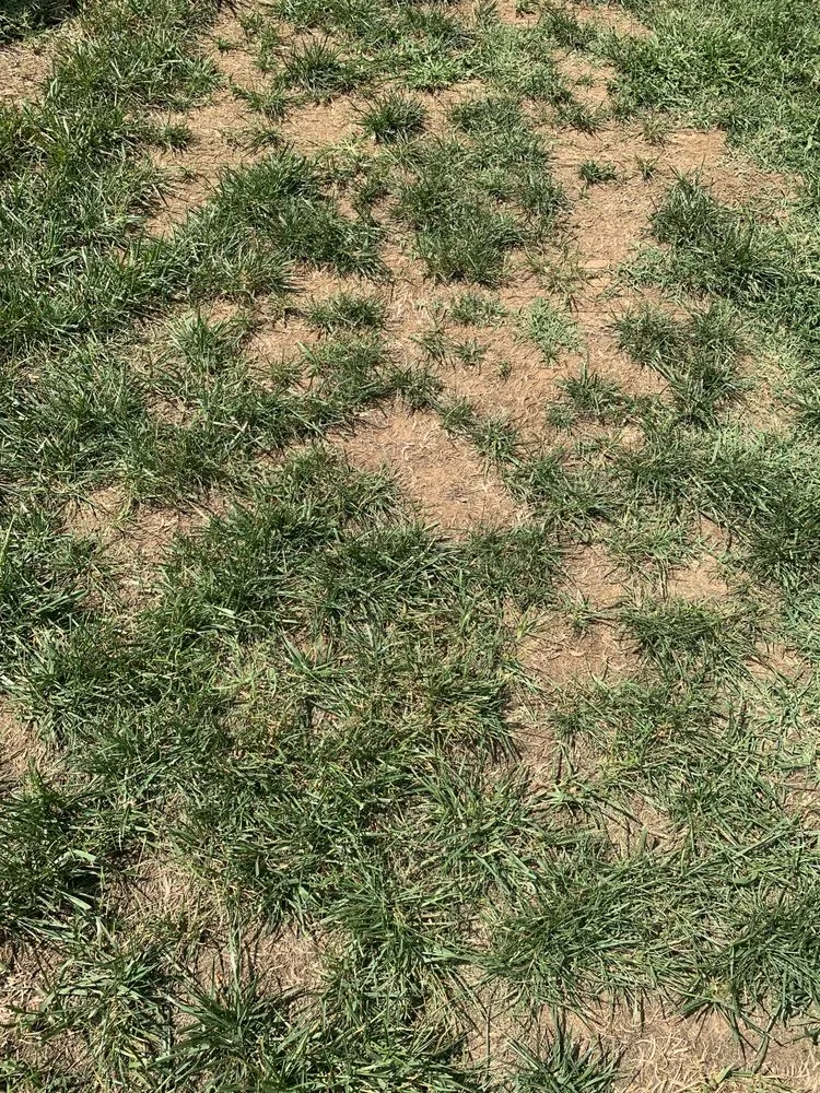 Custom lawn care service for residential properties in Cumberland City, TN by Mullins Lawn Equipment