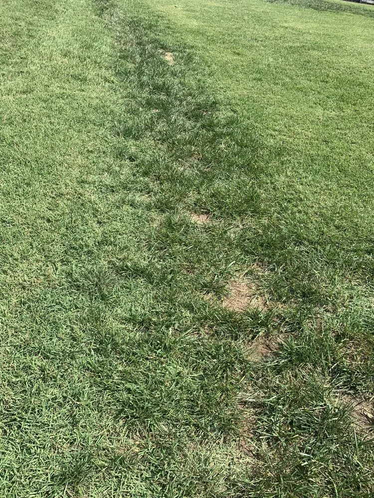 Local lawn care service experts serving Cumberland City, TN - Mullins Lawn Equipment