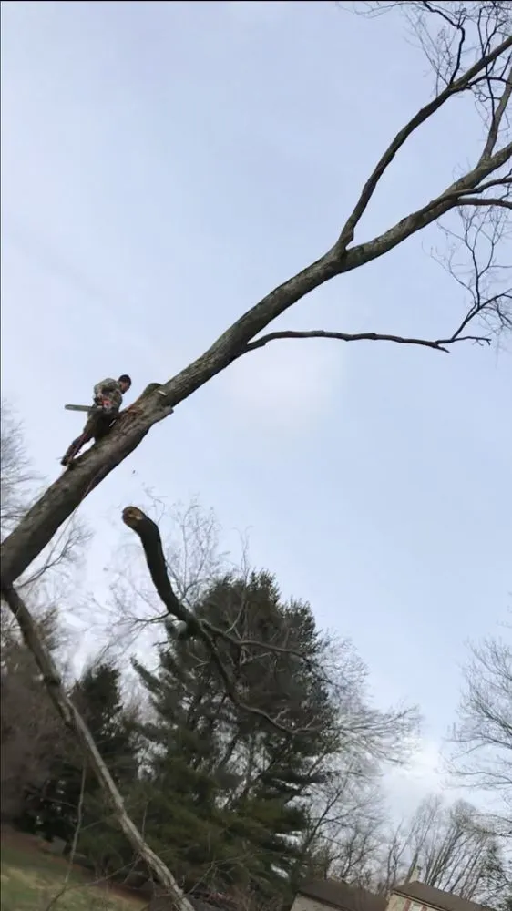 Local landscape installation in Aston, PA by Mulloy's Property Management