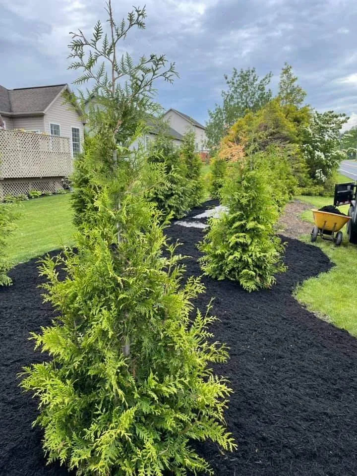 Local residential landscaping for beautiful yards in Sunbury, PA by Mull's Landscaping & Mowing Services