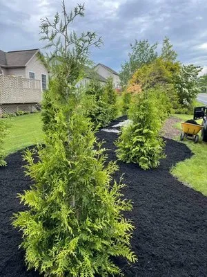 Mull's Landscaping & Mowing Services