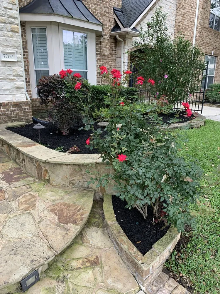 Reliable yard cleanup service experts serving Houston, TX - Multch Brothers