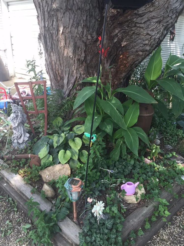 Trusted yard cleanup service in Canton, IL by Multi Color Landscaping and Ponds