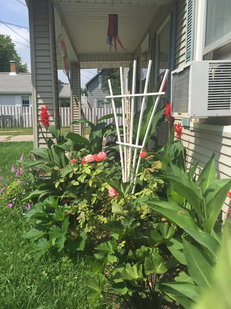 Affordable landscape installation for year-round maintenance in Canton, IL by Multi Color Landscaping and Ponds