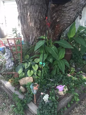 Multi Color Landscaping and Ponds