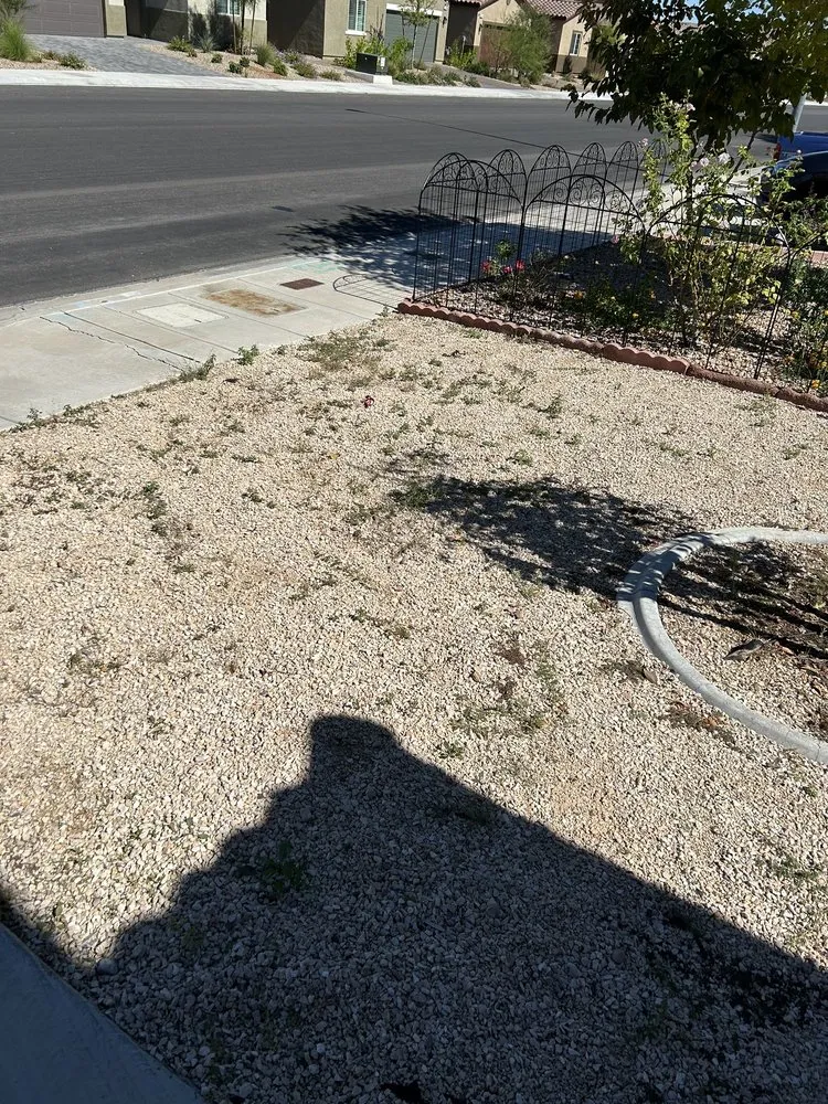 Custom residential landscaping for year-round maintenance in Henderson, NV by Multi Cultural Tree & Lawn Services