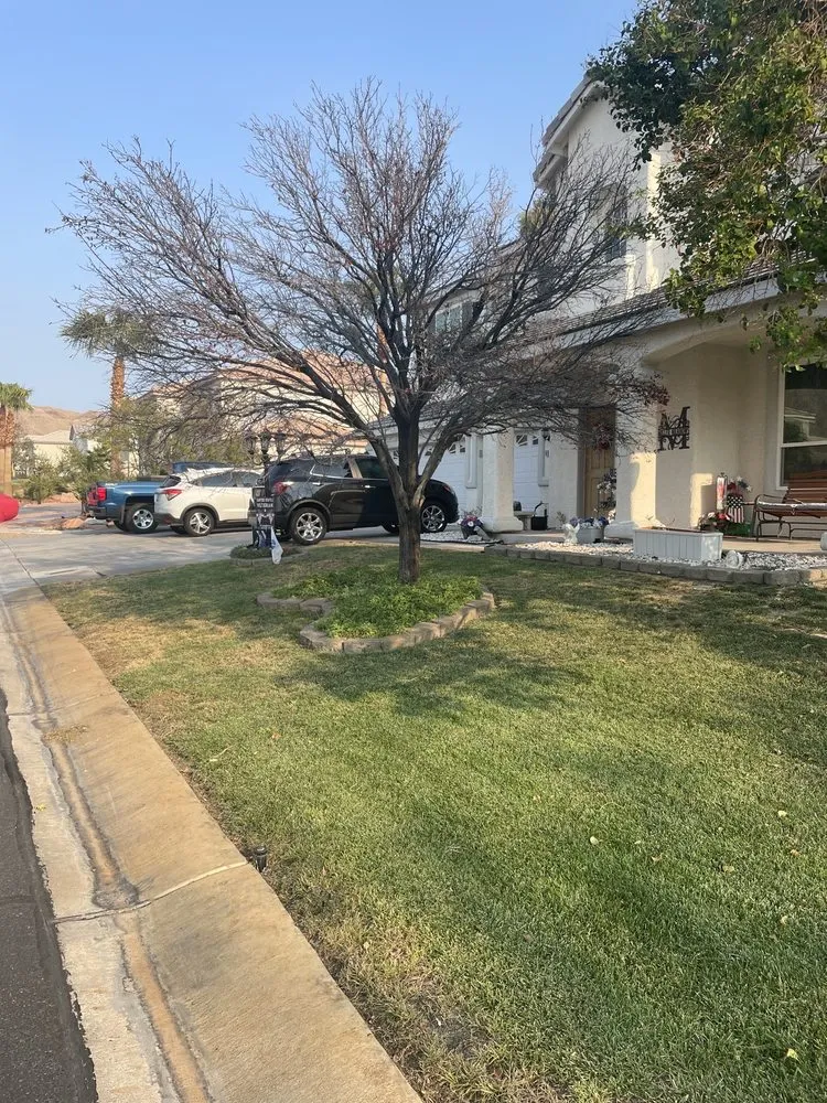 Custom outdoor landscaping near you in Henderson, NV by Multi Cultural Tree & Lawn Services