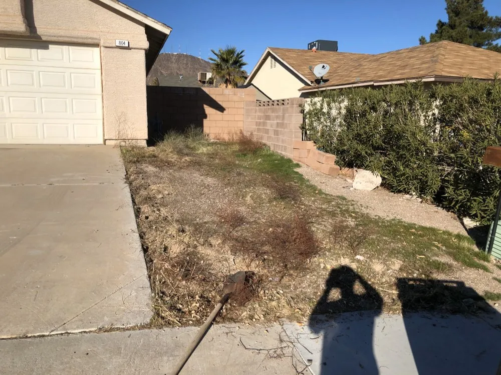 Professional yard maintenance experts serving Henderson, NV - Multi Cultural Tree & Lawn Services