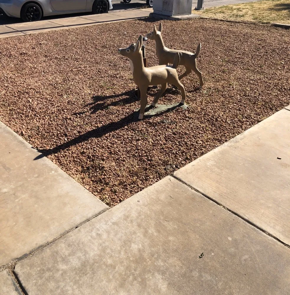 Local residential landscaping for beautiful yards across Henderson, NV - Multi Cultural Tree & Lawn Services