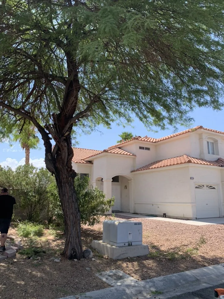 Trusted landscape installation for outdoor upgrades in Henderson, NV by Multi Cultural Tree & Lawn Services