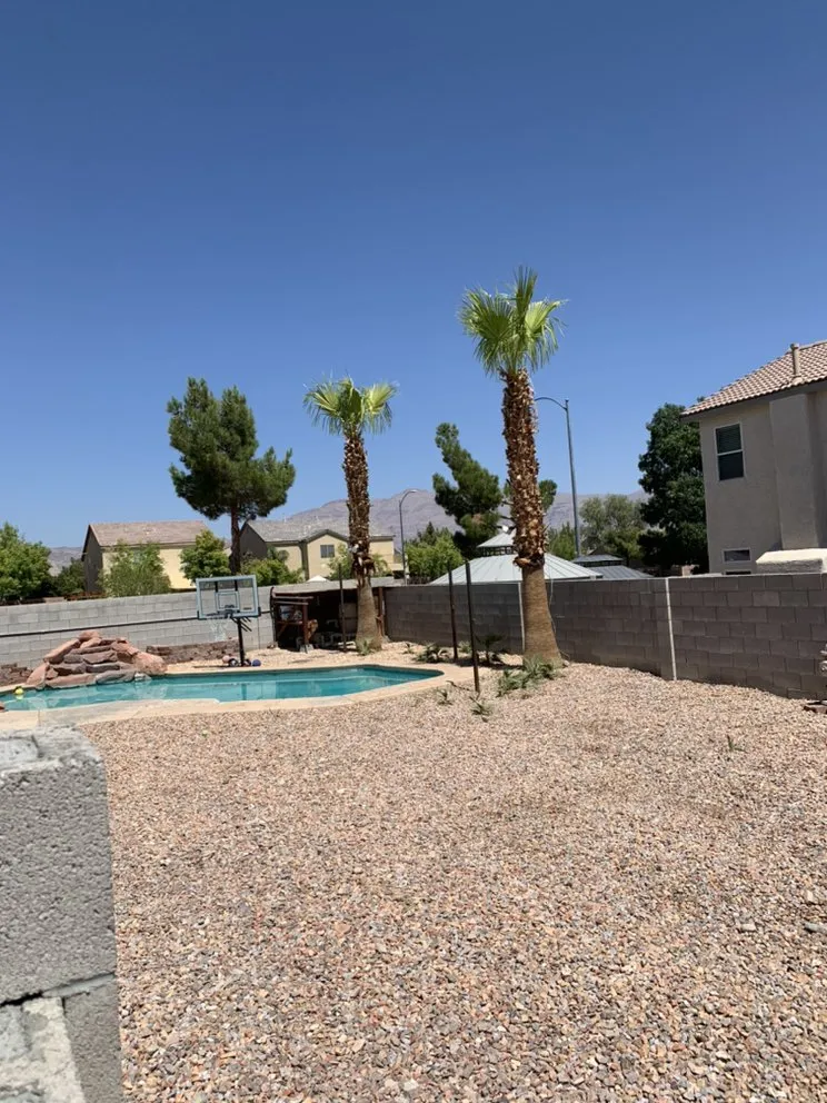 Expert landscape installation for year-round maintenance across Henderson, NV - Multi Cultural Tree & Lawn Services