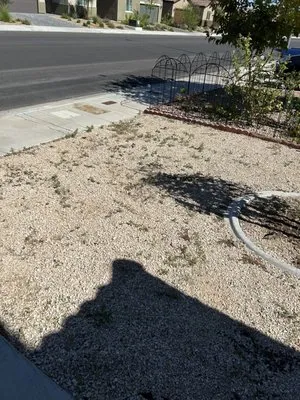 Multi Cultural Tree & Lawn Services Logo