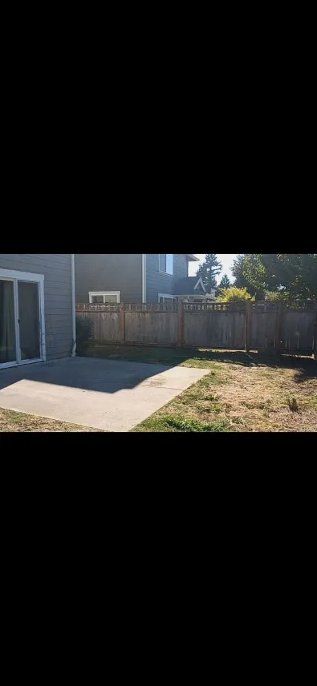 Affordable yard cleanup service for residential properties across Ferndale, WA - Multi Services