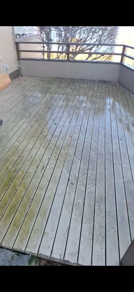 Affordable yard maintenance for beautiful yards in Ferndale, WA by Multi Services