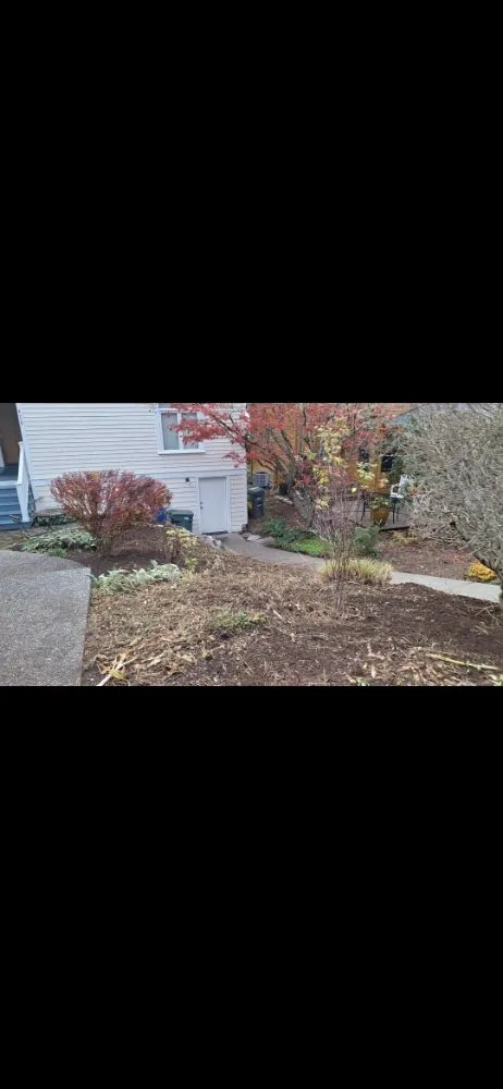 Affordable garden landscaping for outdoor upgrades in Ferndale, WA by Multi Services