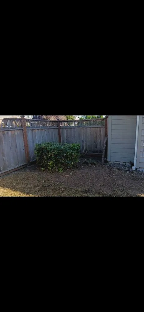 Top-rated yard cleanup service experts serving Ferndale, WA - Multi Services