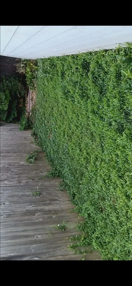 Local outdoor landscaping for homes across Ferndale, WA - Multi Services