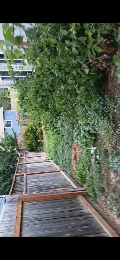 Expert yard cleanup service for residential properties in Ferndale, WA by Multi Services