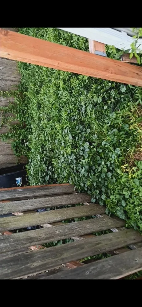 Custom garden landscaping near you in Ferndale, WA by Multi Services