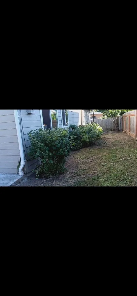 Top-rated residential landscaping with custom design in Ferndale, WA by Multi Services