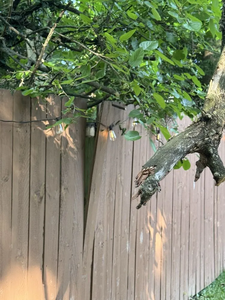 Expert residential landscaping with custom design in Cincinnati, OH by Multi Tree