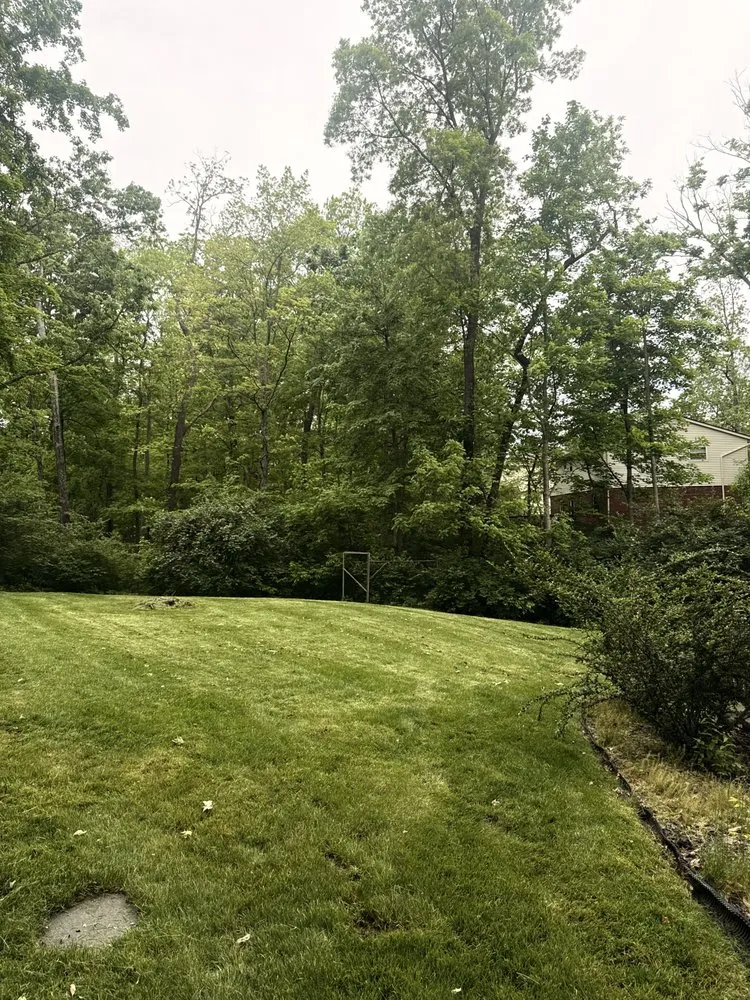 Affordable lawn care service experts serving Cincinnati, OH - Multi Tree