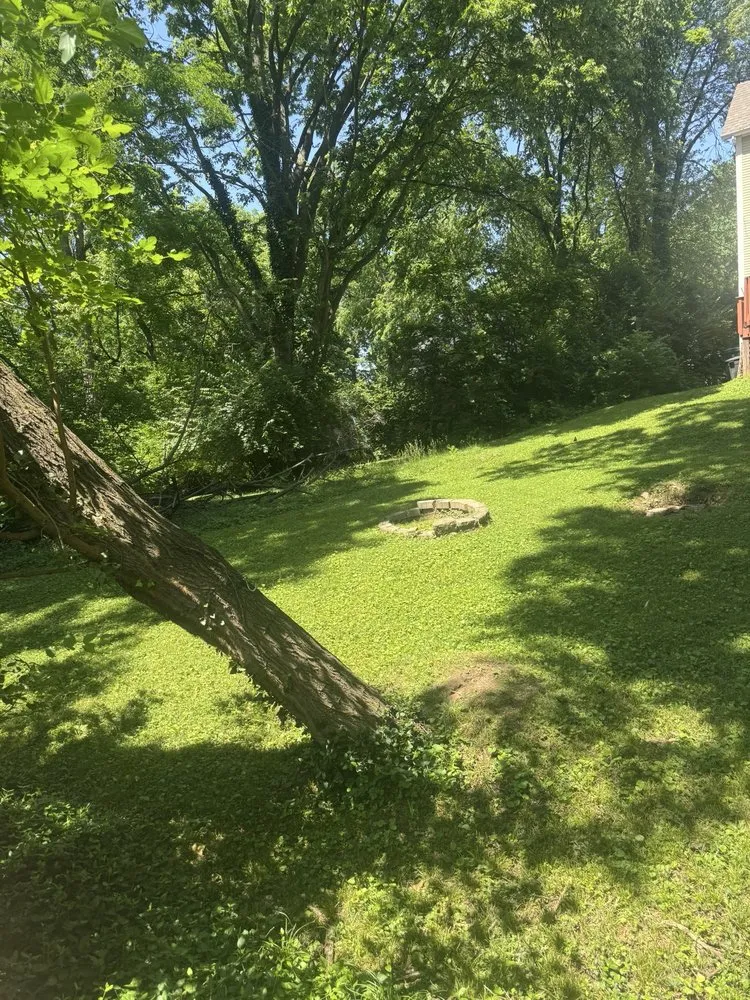 Local garden landscaping in Cincinnati, OH - Multi Tree