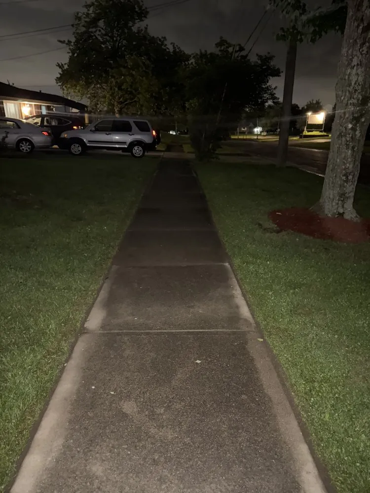 Reliable yard cleanup service experts serving Cincinnati, OH - Multi Tree