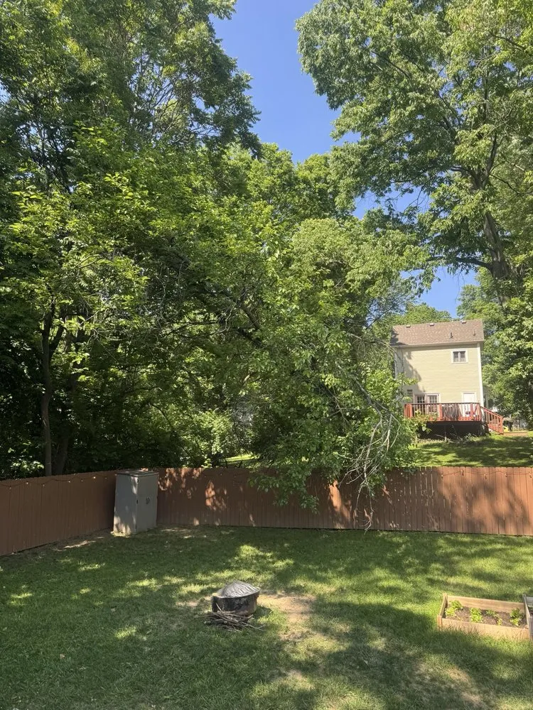 Affordable yard maintenance in Cincinnati, OH by Multi Tree