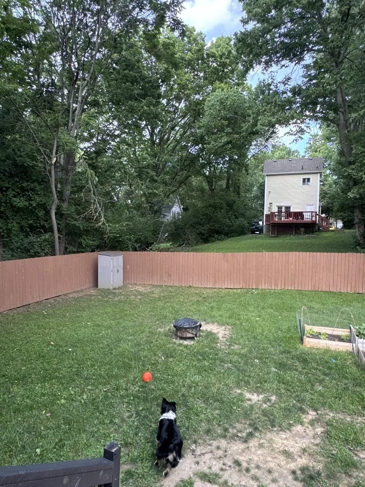 Expert landscape installation in Cincinnati, OH - Multi Tree