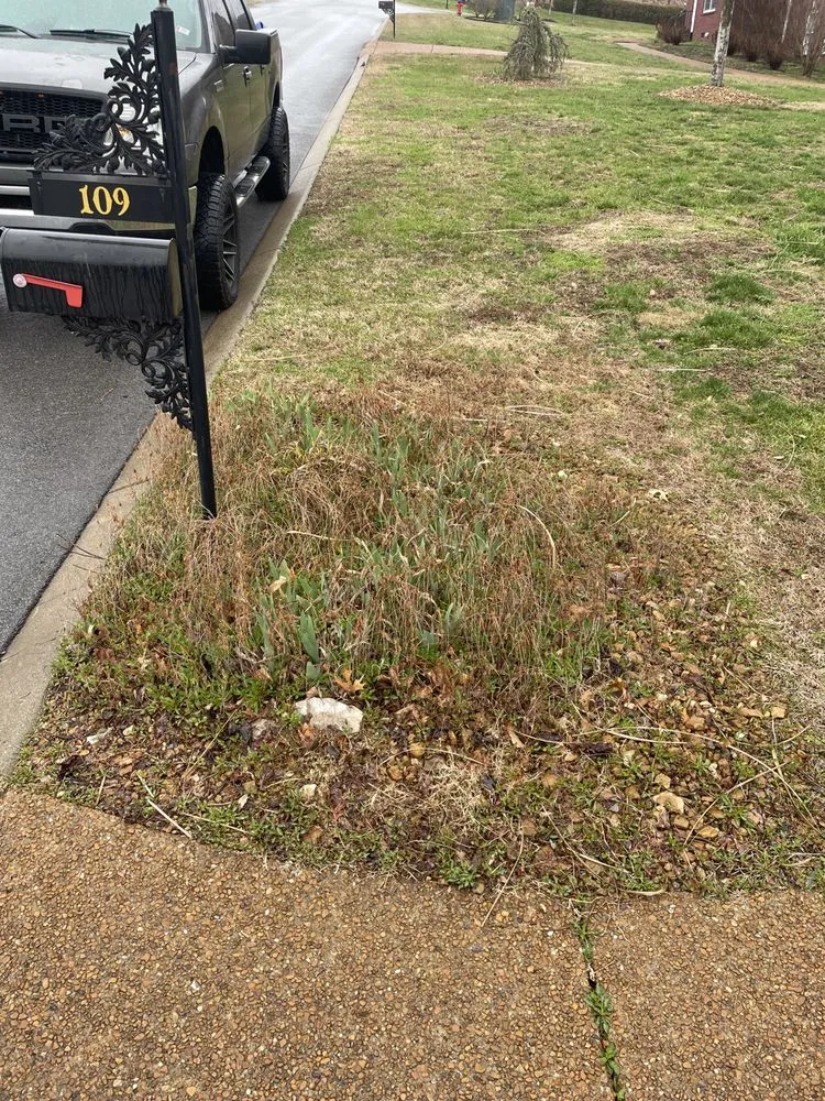 Affordable outdoor landscaping in Goodlettsville, TN by Multimen