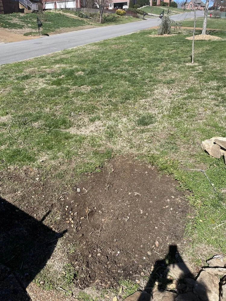 Top-rated lawn mowing service for homes across Goodlettsville, TN - Multimen