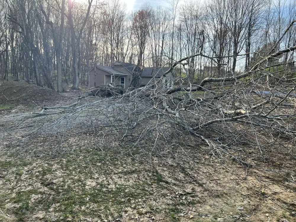 Expert yard cleanup service for outdoor upgrades in Goodlettsville, TN by Multimen