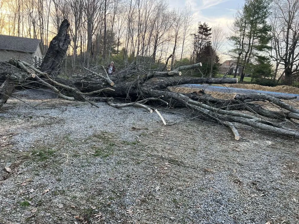 Local yard maintenance for year-round maintenance across Goodlettsville, TN - Multimen