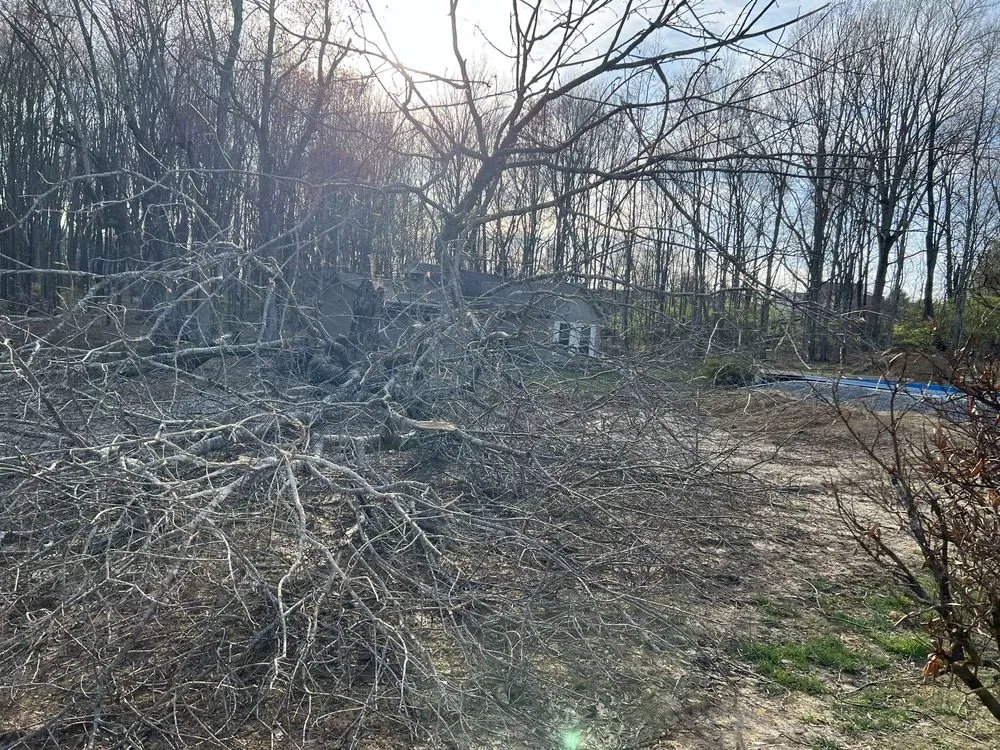 Expert outdoor landscaping in Goodlettsville, TN by Multimen