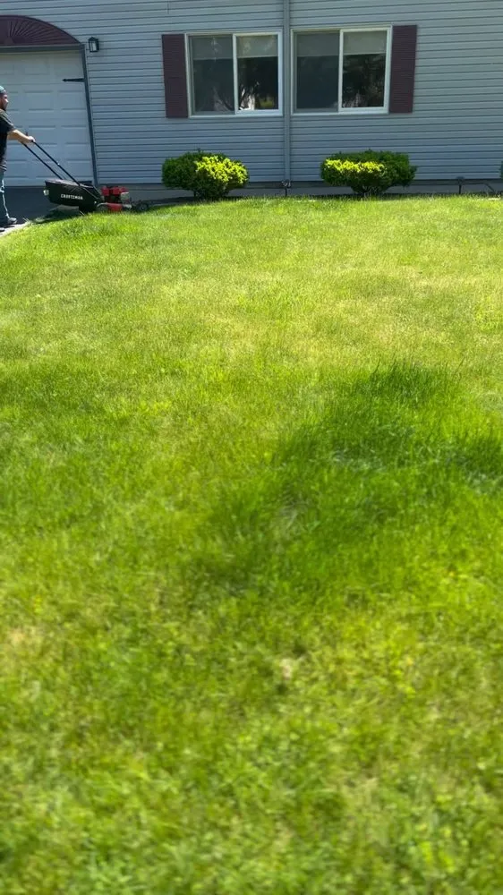 Expert residential landscaping for outdoor upgrades across Bogota, NJ - MultiPurpose Cleaners