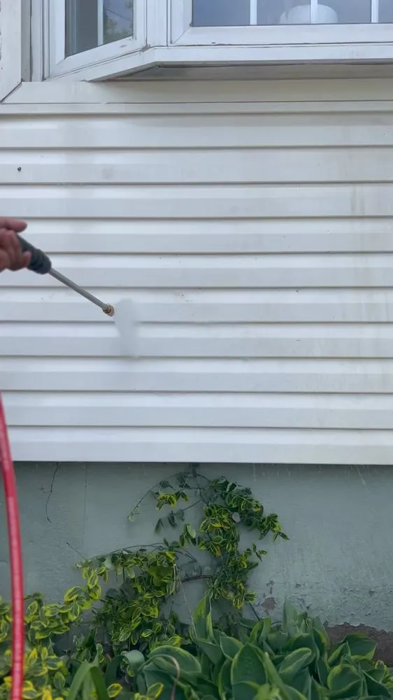 Top-rated landscape design in Bogota, NJ by MultiPurpose Cleaners