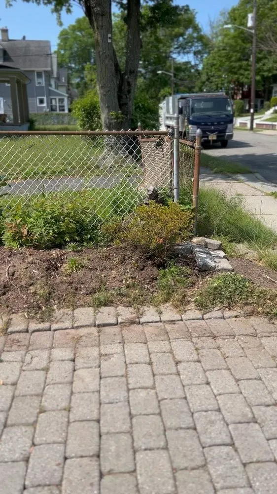 Trusted landscaping services experts serving Bogota, NJ - MultiPurpose Cleaners